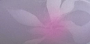 service/s1_yvHaVvt.webp